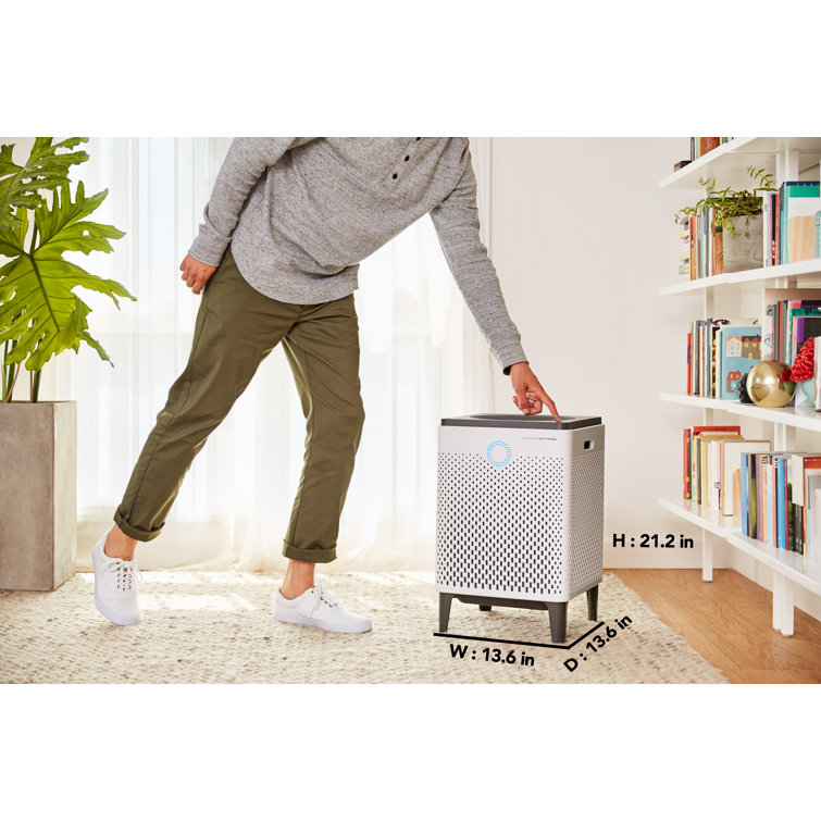 Airmega 300 filter deals